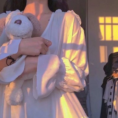 完美的主人